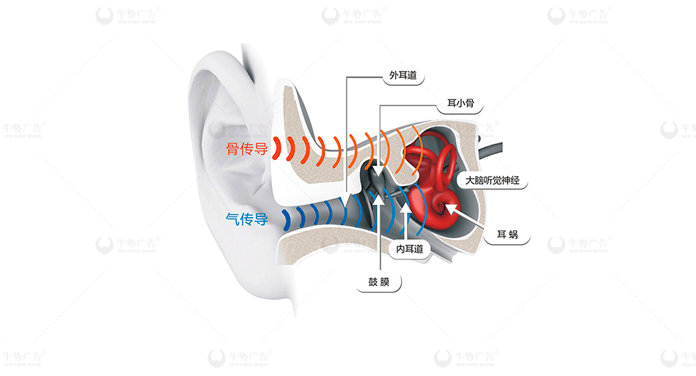 包装设计